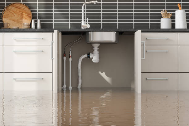 Trusted Tano Road, NM Water damage restoration Experts